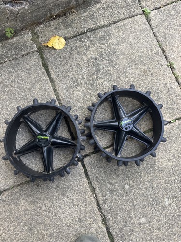 Hedgehog winter golf electric - golf,